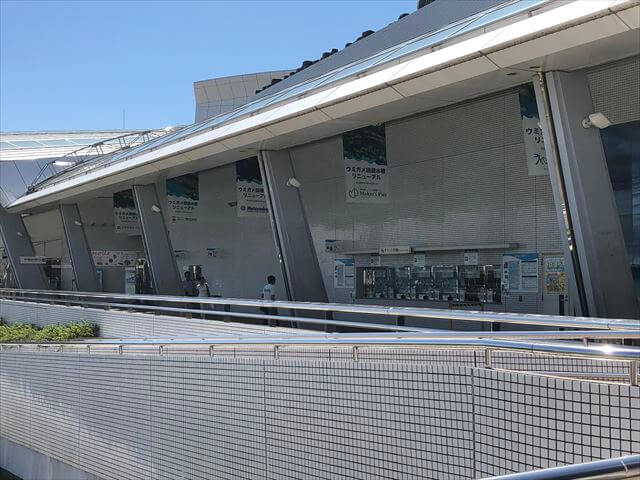 名古屋港水族館 シャチ