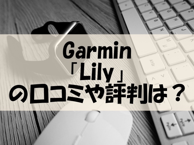 ガーミン Lily 口コミ